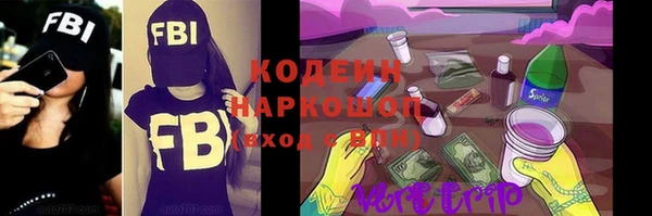 шишки Белокуриха