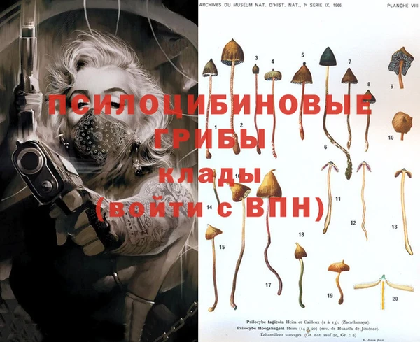 бошки Бородино