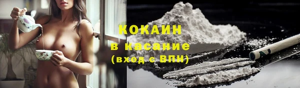 твердый Бронницы