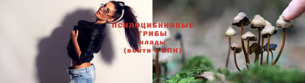 твердый Бронницы