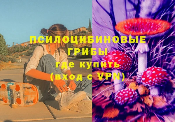 твердый Бронницы