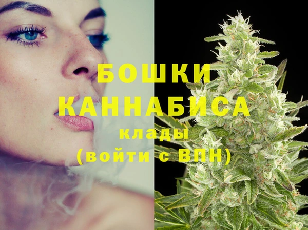 шишки Белокуриха