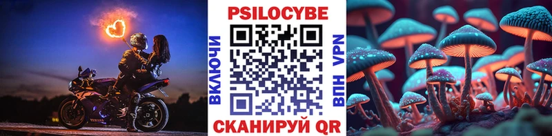 Галлюциногенные грибы прущие грибы  Купить закладки  Гусь-Хрустальный 